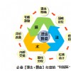 Ч汶İװͽ(jng)I(yng)ģʽ(gu)c،(sh)ʩn